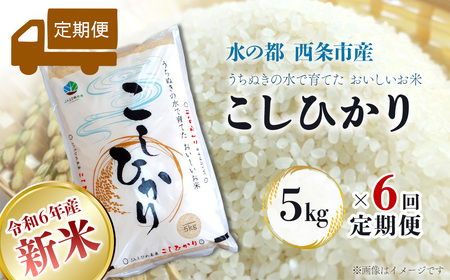 お米 9月発送の返礼品 検索結果 | ふるさと納税サイト「ふるなび」