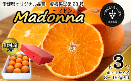 【先行予約】農園直送！「Madonna（愛媛果試第28号）」約3㎏　化粧箱入りお任せサイズ（L～4L）［2022年11月下旬頃～発送開始］