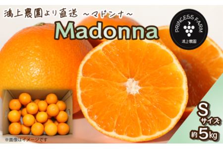 [先行予約] 農園直送 「Madonna( 愛媛果試第28号 )」Sサイズ 約5kg 2024年11月下旬〜2025年1月中旬頃発送 まどんな マドンナ 家庭用 愛媛県オリジナル品種 柑橘