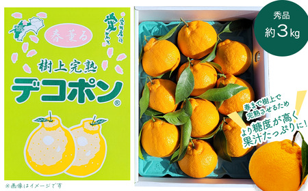 [先行予約] 樹上完熟デコポン(秀品3kg) |柑橘 愛媛 かんきつ