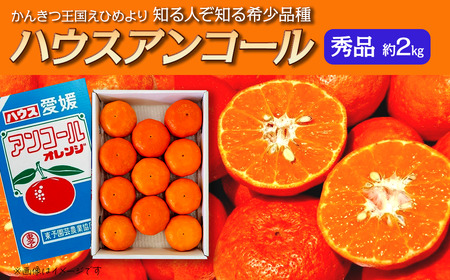 【先行予約】ハウスアンコール（秀品約２kg）｜柑橘 愛媛 かんきつ