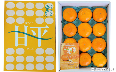 甘平 かんぺい「ハウス甘平」（秀品3kg）｜柑橘 愛媛 かんきつ