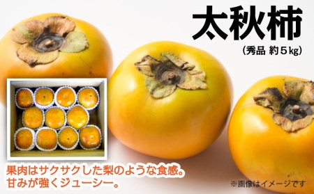 [先行予約]太秋柿(秀品)約5kg 2025年10月発送 柿 かき カキ 甘柿 愛媛産柿 柿 柿