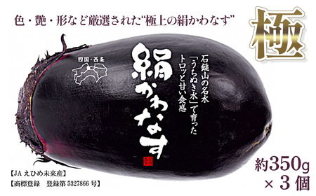 [期間限定] 西条の伝統野菜 「絹かわなす(極)」約350g×3個 絹かわなす ナス 茄子 野菜 [オンライン決済限定]