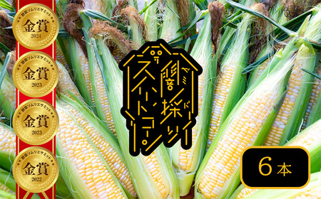 [2025年6月中旬〜7月上旬発送] peakfarm直送 『 闇採りⓇスイートコーン 』 (6本入り)