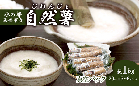 R1s ^pbN y12{`3zR Ƃ R