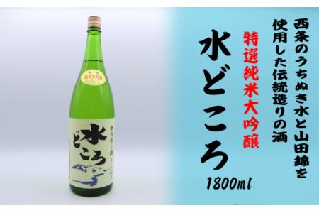 純米大吟醸「うちぬき水どころ」1800ml