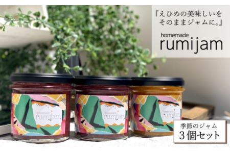 [無添加・手作り]えひめ県産フルーツ使用-rumijam-季節のジャム3個セット
