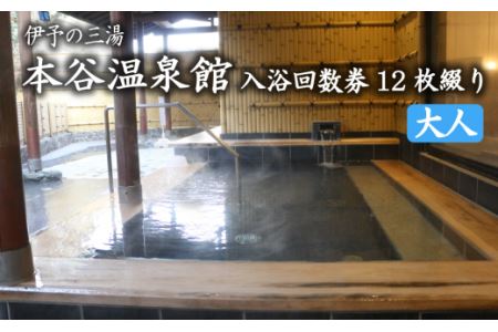 伊予の三湯「本谷温泉館」大人入浴回数券12枚綴り