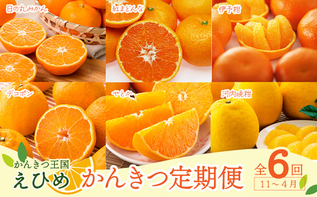 [先行予約] えひめ かんきつ定期便 (全6回・11月〜4月お届け) かんきつ 柑橘 みかん 定期便 温州みかん 紅まどんな 伊予柑 デコポン せとか 河内晩柑 愛媛県