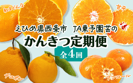 [先行予約]えひめ西条 JA東予園芸の「かんきつ定期便(全4回)」紅まどんな 甘平 アンコール デコポン[オンライン決済限定]