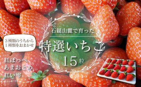 [先行予約] 石鎚山麓で育った 特選いちご 15粒入[3種のうちから1種] 2024年12月中旬〜2025年3月頃発送 ゆきもと農園 苺 いちご