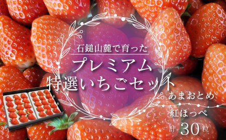 [先行予約] 石鎚山麓で育った プレミアム 特選いちごセット[あまおとめ&紅ほっぺ]30粒入 2024年12月中旬〜2025年3月頃発送 ゆきもと農園 苺 いちご