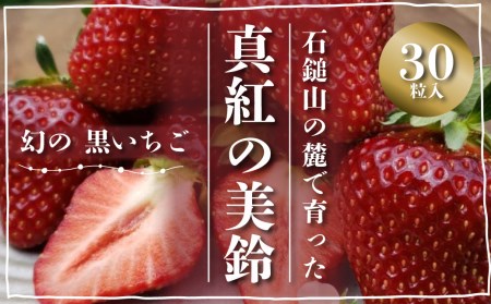 [先行予約] 石鎚山の麓で育った 幻のいちご [ 真紅の美鈴 ] 2024年12月中旬〜2025年3月頃発送 ゆきもと農園 苺 いちご