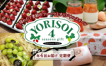 [先行予約/年4回定期便] ゆきもと農園がお届けする 「YORISOI」 4シーズンギフト 季節の採れたてフルーツとスイーツ 2025年3月〜発送開始 イチゴ シャインマスカット プリン ジャム ロールケーキ バターサンド