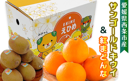 [先行予約] 愛媛県西条市産 サンゴールドキウイと紅まどんなのセット ※2024年11月下旬〜12月下旬頃発送 紅まどんな 柑橘 レインボーレッド キウイ 食べ比べ 詰め合わせ セット