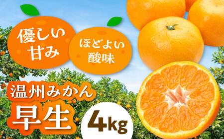 [先行予約][11月上旬から順次発送]本場ならではの品質!柑橘王国愛媛産温州みかん 早生 約4kg ＼レビューキャンペーン中/愛媛県大洲市/有限会社カーム/カームシトラス[AGBW003]みかんミカン果物みかんミカン果物