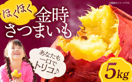 さつまいも(金時)5kg 野菜 やさい さつまいも 5kg 焼き芋 /愛たい菜[AGAP012]