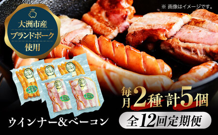 [全12回 定期便 ]秒でプラスもう一品!大洲市産ブランドポーク『オズの箱入り娘』を使用した ベーコン とウィンナーセット(小) 愛媛県大洲市/株式会社オズメッセ[AGAZ084] ソーセージ ウインナー ウィンナー 焼き肉 焼肉 豚肉 バーベキュー ギフト 贈答