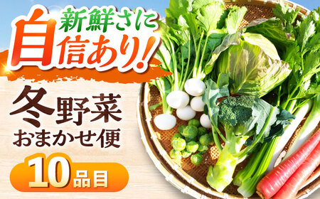 [11月中旬から順次発送]寒い冬の温かな料理に!かとう旬菜畑から直送 冬野菜おまかせ便10種 冬野菜 旬 新鮮 鍋 おうちごはん 愛媛県大洲市/かとう旬菜畑[AGCW001]