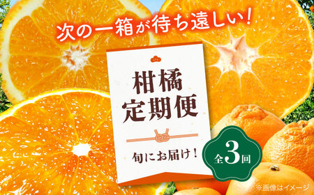 [全3回定期便] 大洲の旬果をお届け!柑橘定期便 紅まどんな デコポン 不知火 甘平 みかん ミカン 紅マドンナ フルーツ 愛媛県大洲市/株式会社フジ・アグリフーズ[AGBA015]紅まどんなデコポン不知火甘平みかん