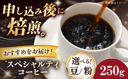 コーヒー豆 スペシャルティコーヒー おすすめ1種 250g 珈琲 コーヒー豆 コーヒー粉 コーヒー ドリップ ドリップ珈琲 飲料 愛媛県大洲市/株式会社日珈[AGCU025]