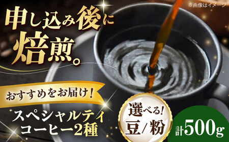 コーヒー豆 スペシャルティコーヒー おすすめ2種セット 各250g 珈琲 コーヒー豆 コーヒー粉 コーヒー ドリップ ドリップ珈琲 飲料 愛媛県大洲市/株式会社日珈[AGCU027]