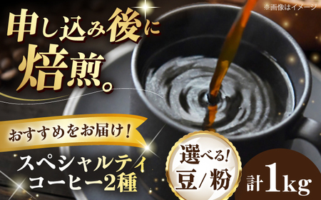 コーヒー豆 スペシャルティコーヒー おすすめ2種セット 各500g 珈琲 コーヒー豆 コーヒー粉 コーヒー ドリップ ドリップ珈琲 飲料 愛媛県大洲市/株式会社日珈[AGCU028]