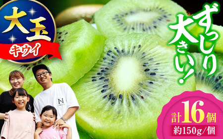 【先行予約】キウイフルーツ 大玉(3L～4L玉) 約150g×16個 大洲市/西村農園[AGDC003]キウイフルーツキウイフルーツキウイフルーツキウイフルーツ