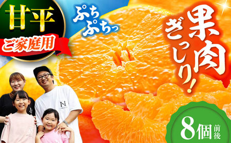 甘平[ご家庭用][2026年2月中旬から順次発送]甘平 8個前後 [AGDC004]