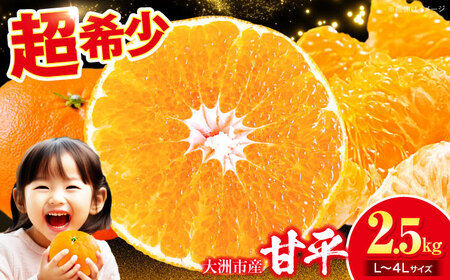 �Õ� 2.5kg �y2�����{��菇�������z�iL����4L�T�C�Y�j�Õ� ����؂�[AGAR010]