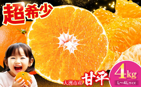 �Õ� 4kg �y2�����{��菇�������z�iL����4L�T�C�Y�j�Õ� ����؂�[AGAR011]