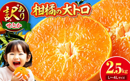 �󂠂� ���Ƃ� 2.5kg �y2�����{��菇�������z�iL����4L�T�C�Y�����j ���Ƃ� �݂���[AGAR012]