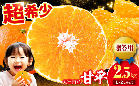 �Õ� 2.5kg �y�����p�z�y2�����{��菇�������z�Õ� ����؂�[AGAR014]