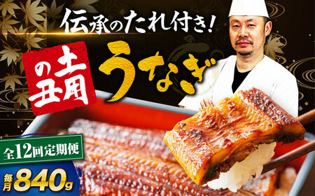 [全12回定期便] うなぎ 蒲焼き 冷蔵 真空パック 6尾セット(2尾×3箱) 愛媛県大洲市/有限会社 樽井旅館 鰻 うなぎ ひつまぶし 土用の丑の日 ウナギ[AGAH023]