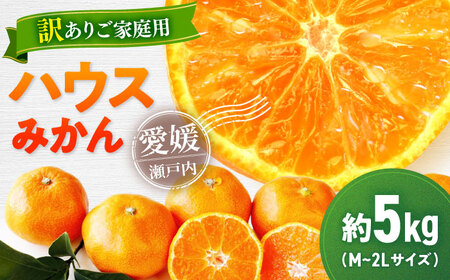 [先行予約][7月上旬より順次発送][ご家庭用]ハウスみかん 5kg 大玉(Mから2Lサイズ)[AGBT020]みかん 愛媛みかん ハウスみかん みかん 訳あり