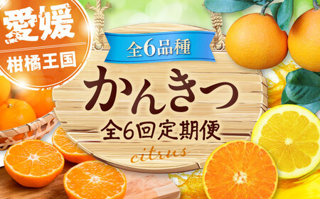 [全6回定期便] [2025年11月以降毎月発送]えひめかんきつ定期便 愛媛県大洲市/愛媛県観光物産協会 みかん 日の丸ゴールド 紅まどんな 伊予柑 デコポン せとか 河内晩柑[AGDN001]