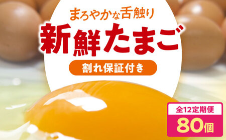  ցy12zi8pbNj 80[AGDQ013]