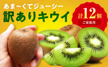 [ご家庭用]キウイフルーツ ヘイワード 10個 甘熟パック入り 愛媛県大洲市/西村農園 キウイ 果物 くだもの フルーツ 訳アリ[AGDC006]
