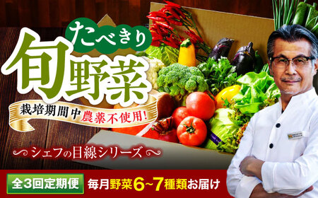 [全3回定期便] [シェフの目線] 野菜 (6-7種) 少量食べきりセット 野菜 やさい 少量セット 食べきり[AGBX044]