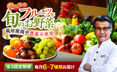 [全3回定期便] [シェフの目線] 野菜×フルーツセット (6-7種) 少量食べきりセット 野菜 果物 やさい 少量セット 食べきり[AGBX048]