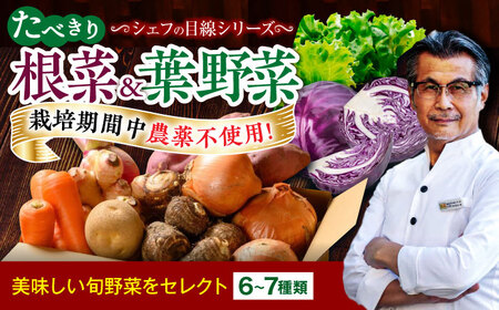 [シェフの目線] 根菜×葉野菜 (6-7種) 少量食べきりセット 野菜 果物 やさい 少量セット 食べきり[AGBX051]