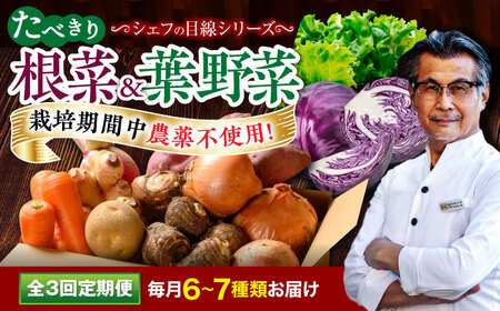 [全3回定期便] [シェフの目線] 根菜×葉野菜 (6-7種) 少量食べきりセット 野菜 果物 やさい 少量セット 食べきり[AGBX052]