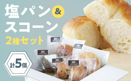 [冷凍]スコーン&臥龍塩パン 5個セット 冷凍パン 菓子パン 食事パン 朝食 ベーカリー 冷凍 ぱん[AGAY058]