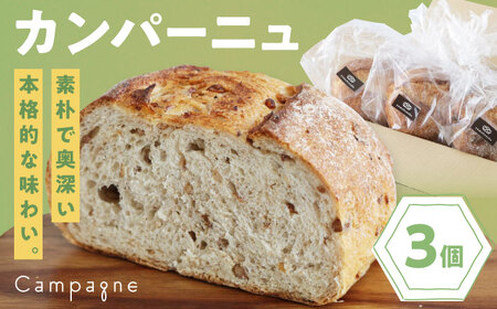[冷凍]カンパーニュ3種セット (プレーン・いちじく・五穀) 冷凍パン ハードパン 食事パン 朝食 ベーカリー 冷凍[AGAY050]