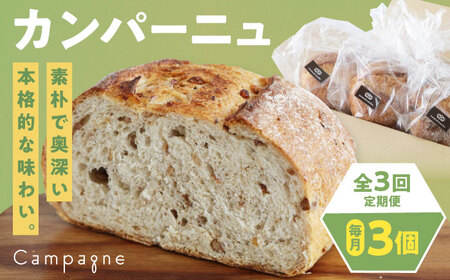 [全3回定期便][冷凍] カンパーニュ3種セット (プレーン・いちじく・五穀) 冷凍パン ハードパン 食事パン 朝食 ベーカリー 冷凍[AGAY051]