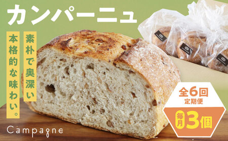 yS6ցzyⓀzJp[j3Zbg (v[EE܍)  Ⓚp n[hp Hp H x[J[ Ⓚ[AGAY052]