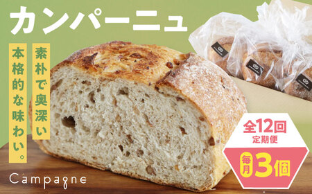 yS12ցzyⓀzJp[j3Zbg (v[EE܍)  Ⓚp n[hp Hp H x[J[ Ⓚ[AGAY053]