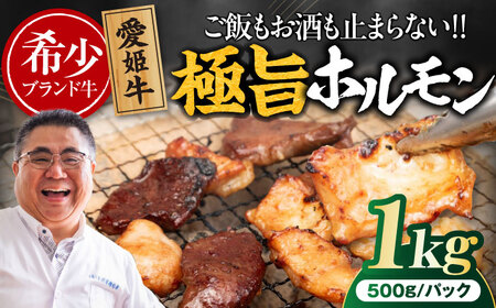 [冷凍] 愛姫牛 肉屋のこだわりお惣菜 タレ漬けミックスホルモン 500g×2パック 1kg/木村屋精肉店 牛丼 牛肉 和牛 牛 国産[AGCC068]