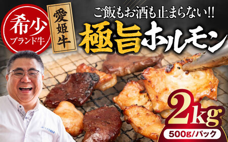 [冷凍]タレ漬けミックスホルモン 500g×4パック 2kg /木村屋精肉店 [AGCC069]